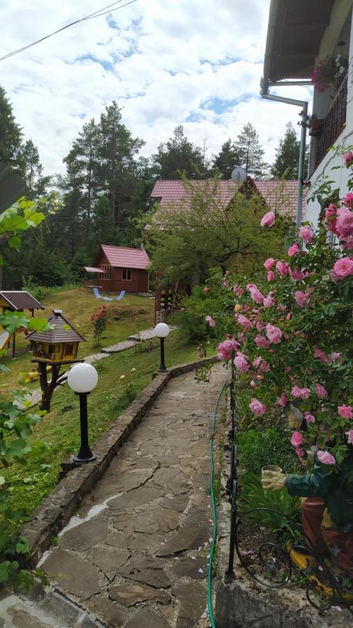 лісова казка